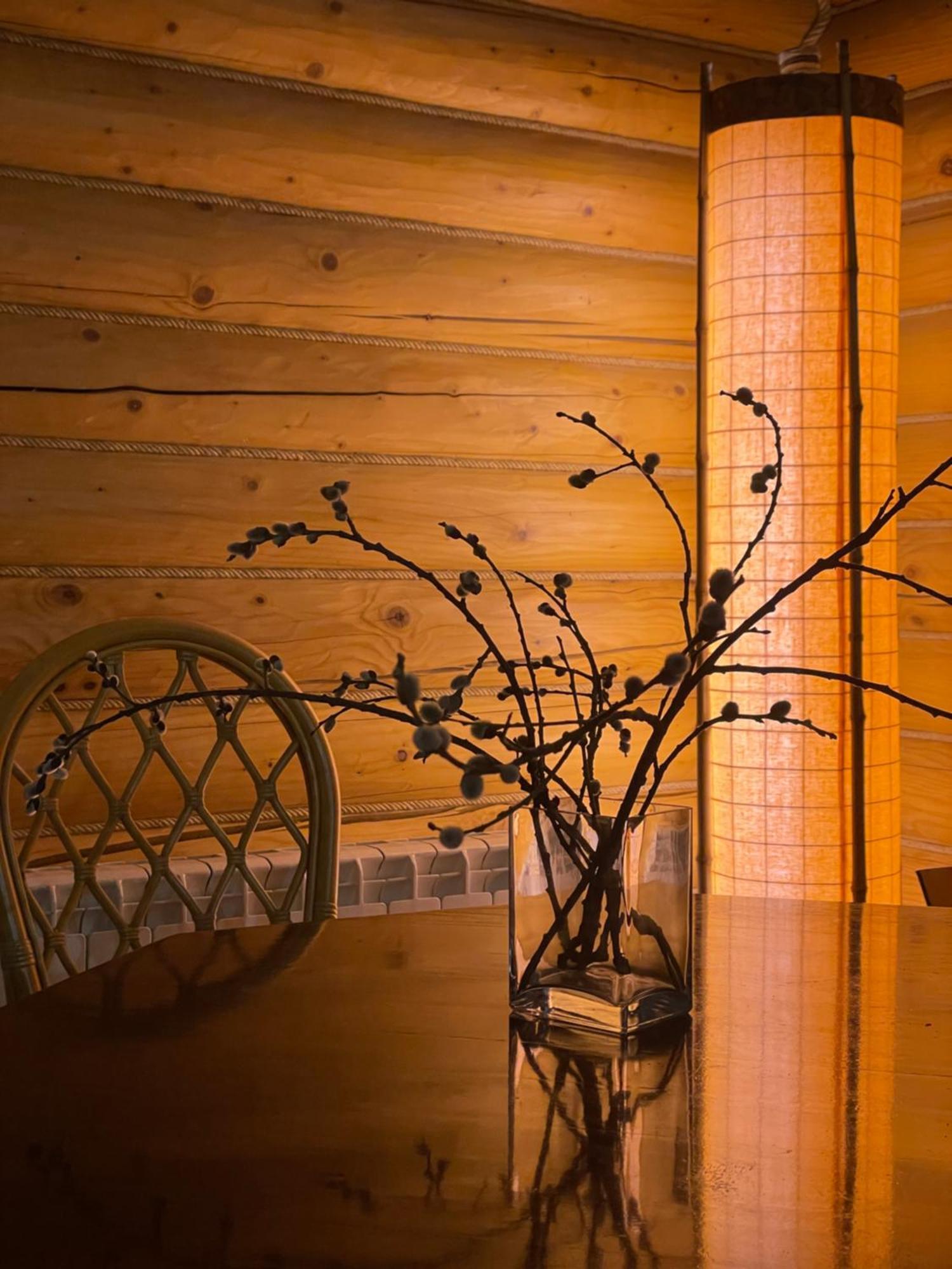 Bukovynskiy Zatyshok Chalet Bukoveľ Exteriér fotografie